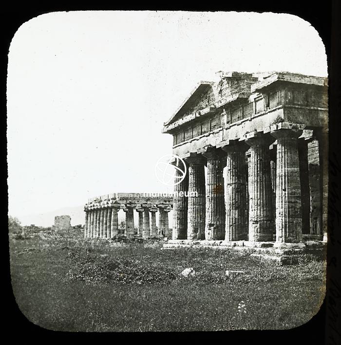 Paestum - Temple de Neptune &amp; Baslique