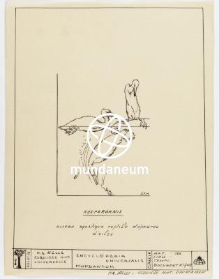 Hesperornis. Atlas Mundaneum. Encyclopedia Universalis Mundaneum