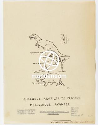 Quelques reptiles de l'époque Mésozoïque avancée. Atlas Mundaneum. Encyclopedia Universalis Mundaneum