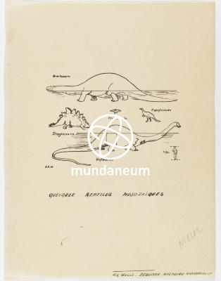 Quelques reptiles mesozoïques. Atlas Mundaneum. Encyclopedia Universalis Mundaneum